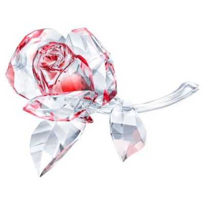 Swarovski Rosa a florescer vermelha