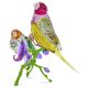 Swarovski Idyllia SCS Edição Anual 2024 Passarinhos de Gouldian