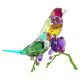 Swarovski Idyllia SCS Edição Anual 2024 Passarinhos de Gouldian
