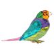 Idyllia Swarovski SCS Passarinho de Gouldian Pequeno
