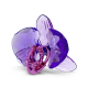 Swarovski Idyllia SCS Pétala de Orquídea