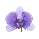 Swarovski Idyllia SCS Pétala de Orquídea