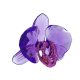 Swarovski Idyllia SCS Pétala de Orquídea