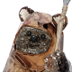Swarovski Star Wars Ewok Wicket