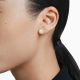 Brincos Swarovski stud Una Lapidação redonda Dourado Lacado a dourado