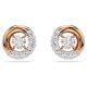 Brincos Swarovski stud Dextera Lapidação redonda Branco Lacado a rosa dourado