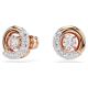Brincos Swarovski stud Dextera Lapidação redonda Branco Lacado a rosa dourado