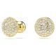 Brincos Swarovski Stud Meteora Branco Lacado a Dourado