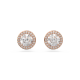 Brincos Swarovski Stud Constella Lapidação Redonda Pavé Branco Lacado a Rosa Dourado