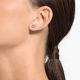 Brincos Swarovski Stud Attract Lapidação Redonda Branco Lacado a Ródio