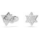 Brincos Swarovski stud Dextera Lapidação redonda Estrela Branco Lacado a ródio