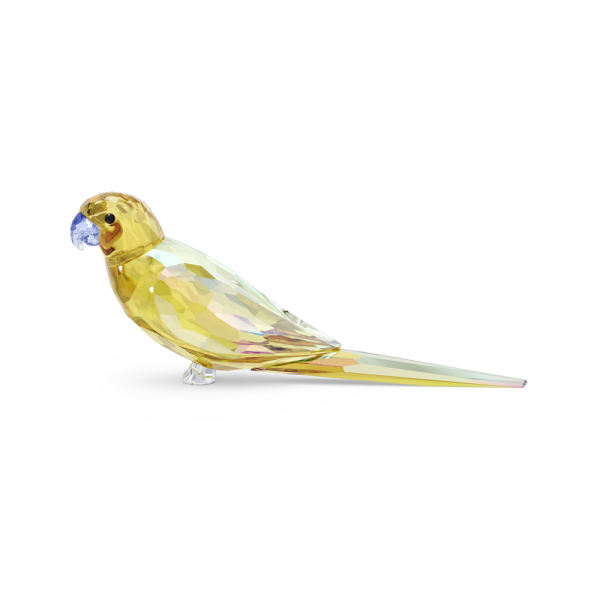 Swarovski Jungle Beats Periquito Amarelo Lechee