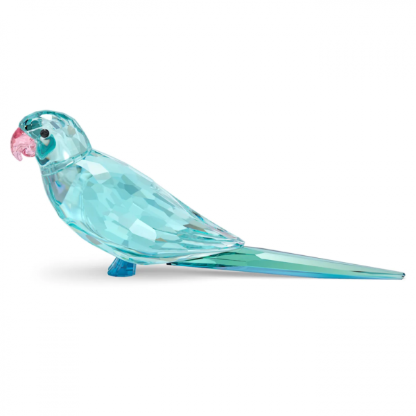 Swarovski Jungle Beats Periquito Azul Paco
