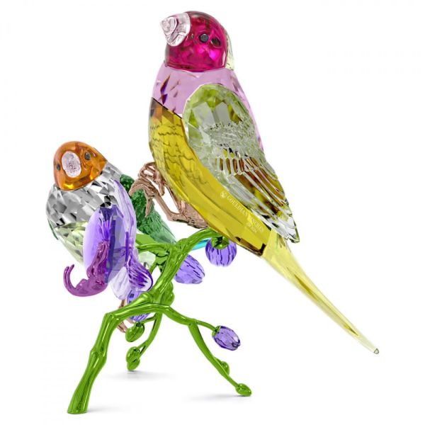 Swarovski Idyllia SCS Edição Anual 2024 Passarinhos de Gouldian