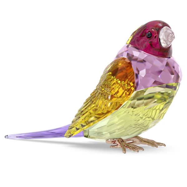  Idyllia Swarovski SCS Passarinho de Gouldian Grande