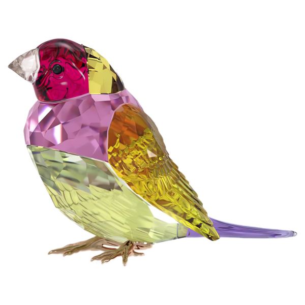  Idyllia Swarovski SCS Passarinho de Gouldian Grande