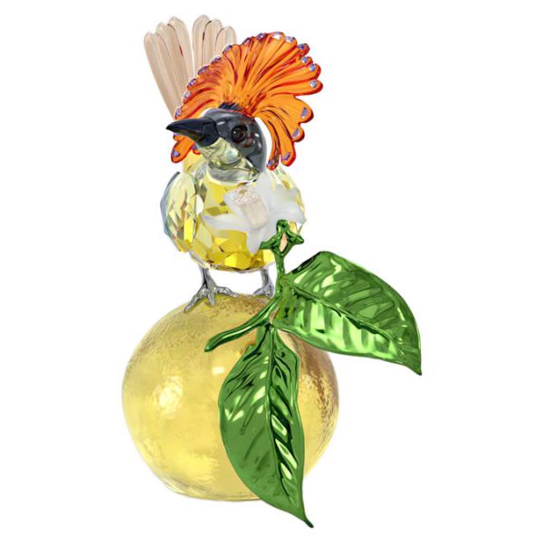 Swarovski Idyllia Royal Flycatcher