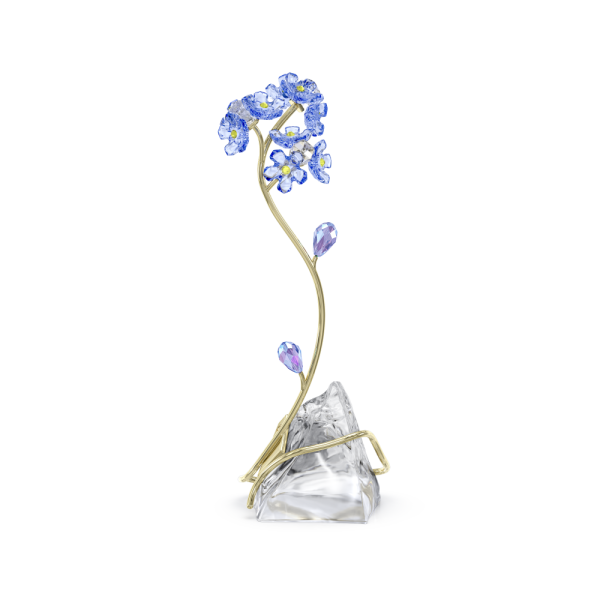 Florere Miosótis